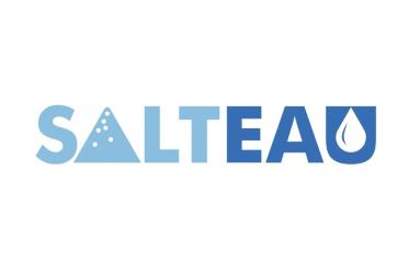 Salteau logo