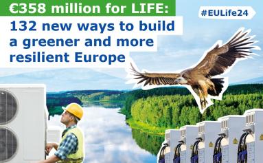 Resultados Call 2024