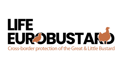 eurobustard