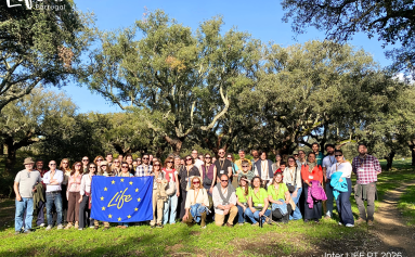 Inter LIFE PT 2026 - foto de grupo