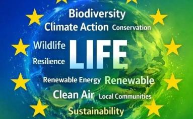 Petição 'Stand with LIFE'