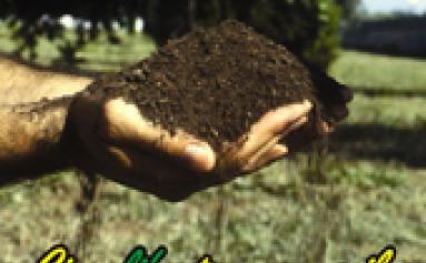 COMPOSTDISSEMINATION