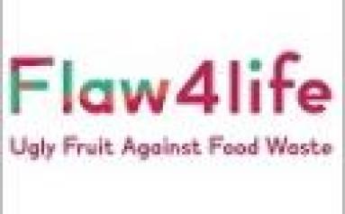 FLAW4LIFE AMS
