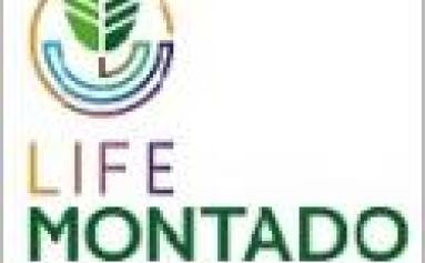 LIFE MONTADO ADAPT AMS