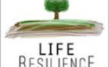 LIFE RESILIENCE
