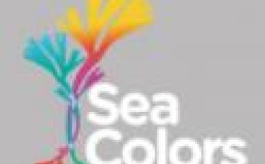 LIFE SEACOLORS