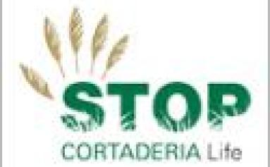 LIFE STOP Cortaderia