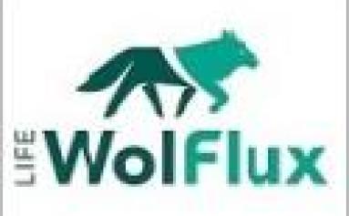 LIFE WolFlux AMS