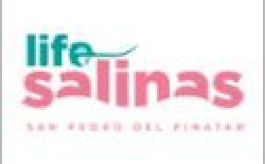 LIFE SALINAS