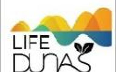 life dunas AMS