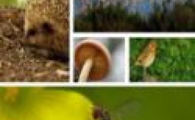 lifeBiodiscoveries
