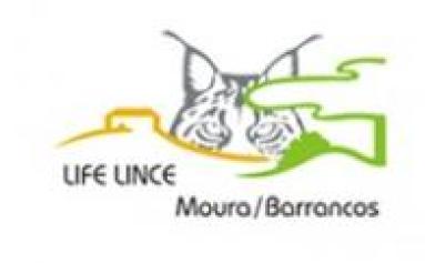 lince moura barrancos