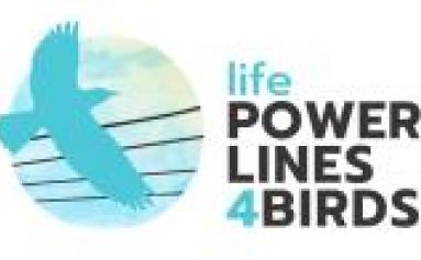 logo powerlines4birds