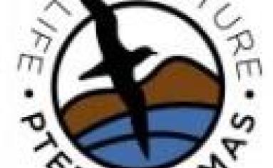 logo pterodromas 4 life