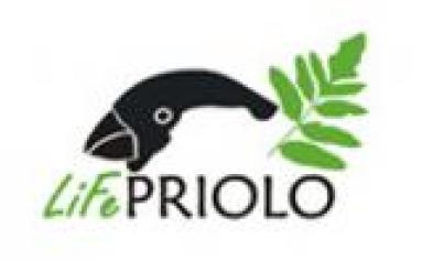 priolo