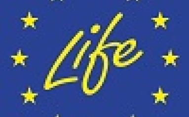 life 100 99